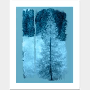 crystal larch Posters and Art